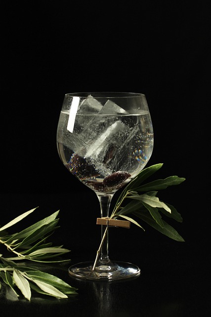 gin and tonic, cocktail, gin, alcohol, spirit, drink, tonic, liquor, cocktails, olives, gin, gin, gin, gin, gin