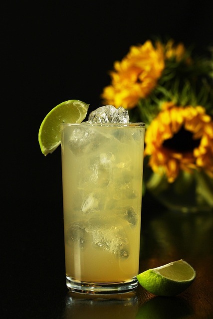 gin and ginger ale, cocktail, ginger ale, mocktail, sunflowers, lime, cocktails, mocktails, party, ice, black party, black sunflower, ginger ale, ginger ale, ginger ale, mocktail, mocktail, mocktail, mocktail, mocktail, mocktails, mocktails, mocktails